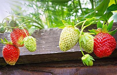 手游《跃迁旅人》宣布停更重做 上线仅仅三个月